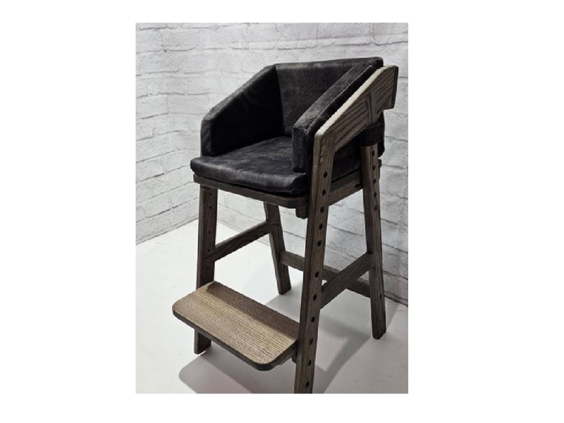 Growing ash chair (with a soft insert)